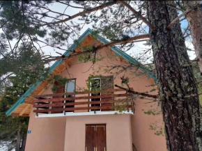 Wild Peace Žabljak